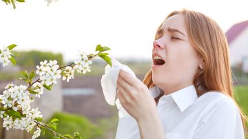 alergias, mitos, verdades, Estar Mejor