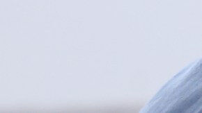 Desinfectantes en el embarazo