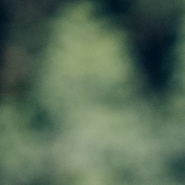 Mi ex quiere volver conmigo pero tiene novia