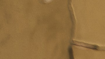 sueños con ex, Estar Mejor