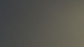 El aislamiento social puede cambiar la forma en que funciona nuestro sistema inmunológico y que el sistema inmunológico refleja nuestro estilo de vida y lo que estamos experimentando.