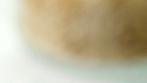 alimentos que creías saludables