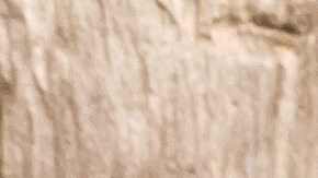 alimentos saludables, hambre, saciedad, Estar Mejor