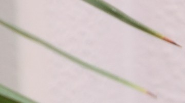 Cáncer de endometrio, obesidad, Estar Mejor