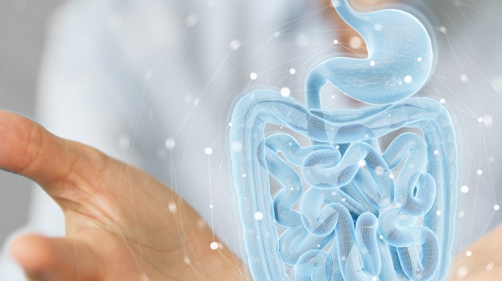 cáncer, Microbiota, estar mejor