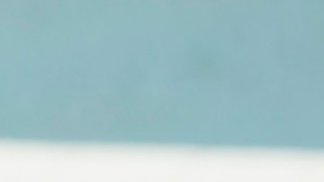 Sustitutos del azúcar