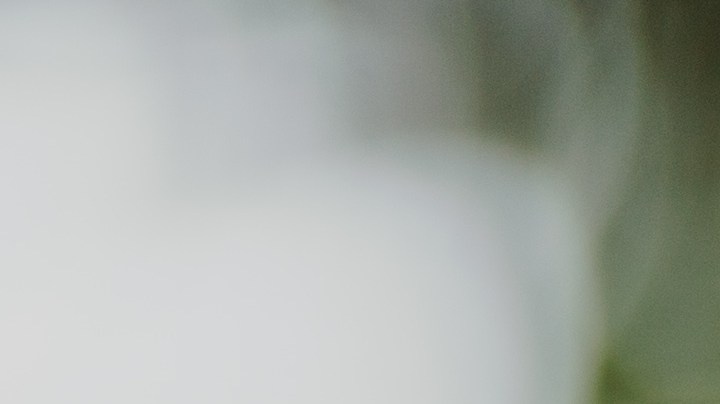 artritis, dieta vegana, Estar Mejor