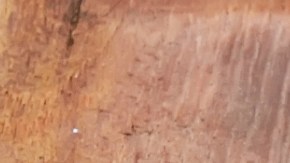 Agua de jengibre