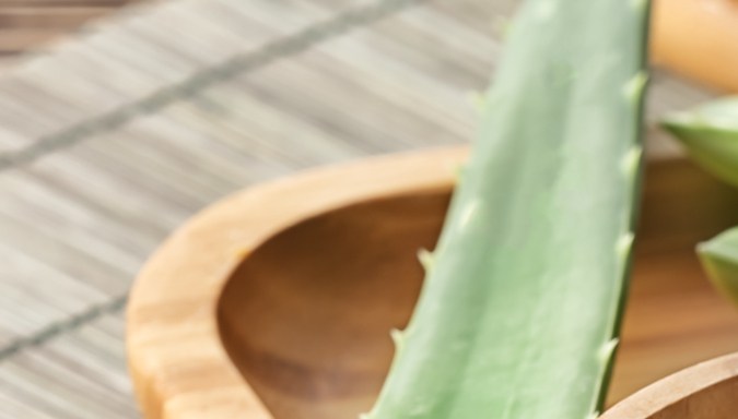 Aloe vera para el cabello
