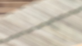Aloe vera para el cabello