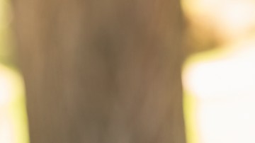 Día Mundial del Asma, Estar Mejor