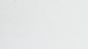 COVID, el deterioro cognitivo, Estar mejor