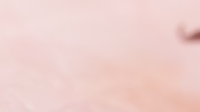 garrapatas, enfermedades, temporada, Estar Mejor