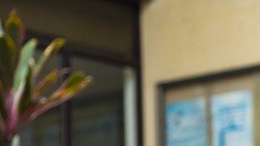 acoso y violencia, escuela, Eeuu, Estar Mejor