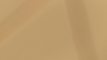 eliminar malos olores del baño