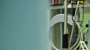 prevenir el envejecimiento, Trasplantes fecales, Estar Mejor