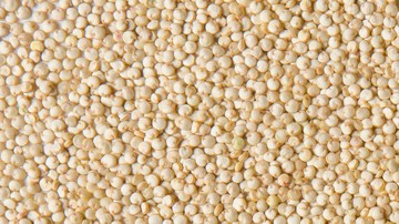 quinoa, Estar Mejor