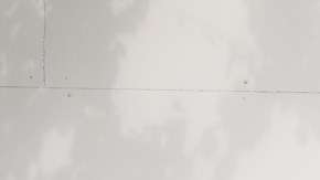 selfie,alzheimer,tdah