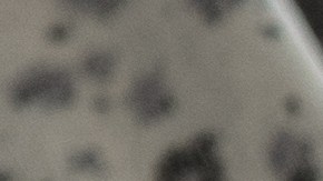 Problemas de salud mental