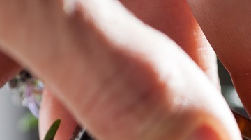 Enfermedad de Lyme tratamientos naturales