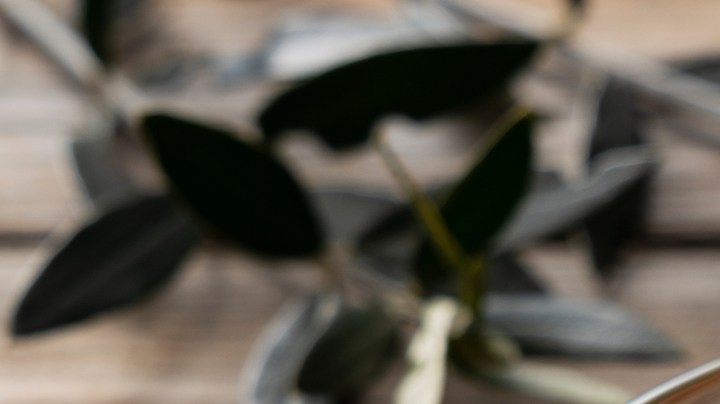 Qué alimentos puedes comer para aliviar la gastritis