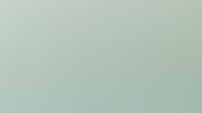 esponja y cepillos para lavar platos