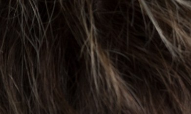 Las "personas azules" son ese refugio emocional que calma sin hablar. ¿Ya identificaste a la tuya?