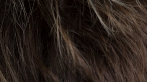 Las "personas azules" son ese refugio emocional que calma sin hablar. ¿Ya identificaste a la tuya?