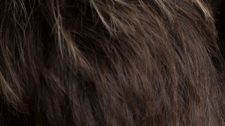 amarre de amor para dejar de discutir con tu pareja