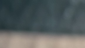 remedios caseros para los granos sin punta