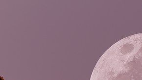 Luna de Fresa