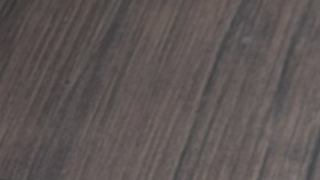 La comunidad LGBTQI tiene más riesgo de contagiarse, según los CDC