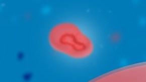 semen viruela del mono