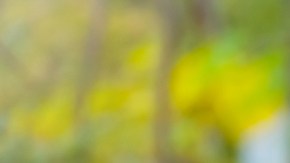 caminatas rápidas mujeres