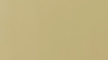 Alimentar a tu perro con carne cruda