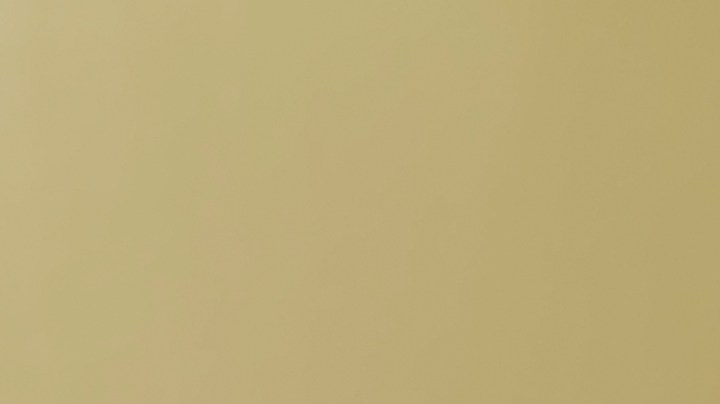 Alimentar a tu perro con carne cruda