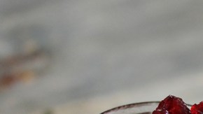 cebolla morada diabetes