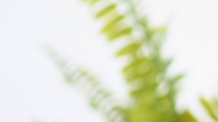 cuáles son las ventajas y riesgos de una freidora de aire