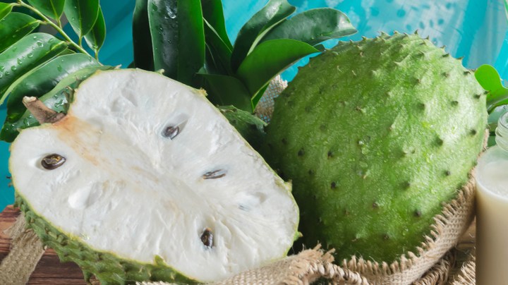 células malignas Cáncer guanábana