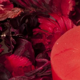 hechizos de amor más efectivos y rápidos