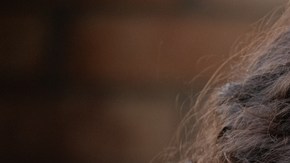 agendar las sesiones de intimidad