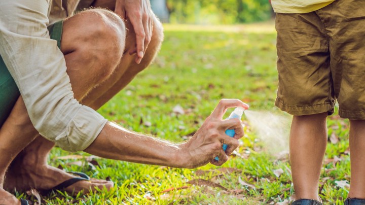 repelentes para mosquitos naturales