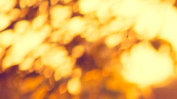 El significado se soñar que estás embarazada