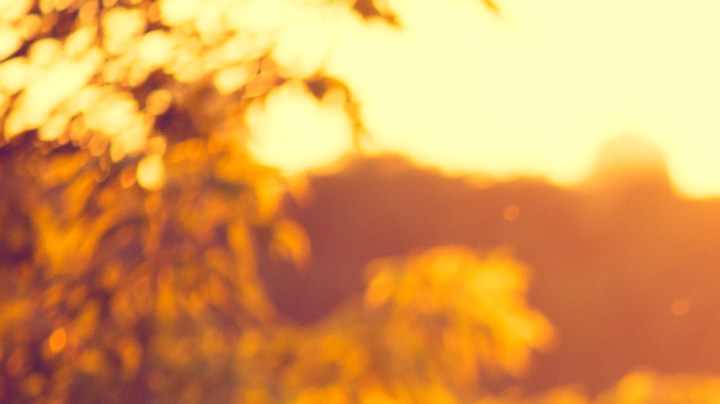 El significado se soñar que estás embarazada