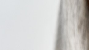 suplementos de taurina