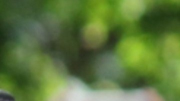 Identidad birracial