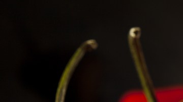 beneficios para la salud de incluir chiles