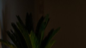 estar despierto a medianoche