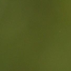 Cómo preparar la ensalada de Kate Middleton