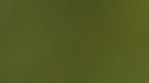 Cómo preparar la ensalada de Kate Middleton